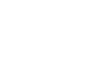 Hornetsecurity Partner